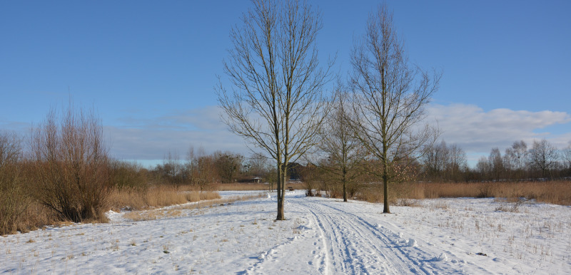 Winterweg bei Schnee