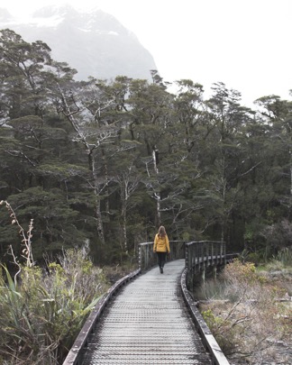 Adidas Terrex Ax3 Wanderschuhe Damen zum Wandern in Neuseeland